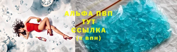 spice Богданович