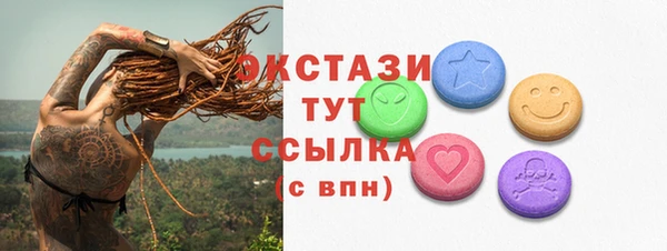 дмт Богородицк