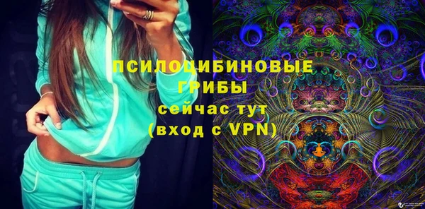 дмт Богородицк