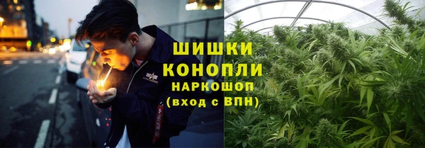 spice Богданович