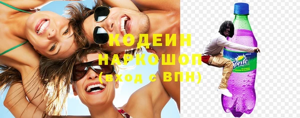 spice Богданович