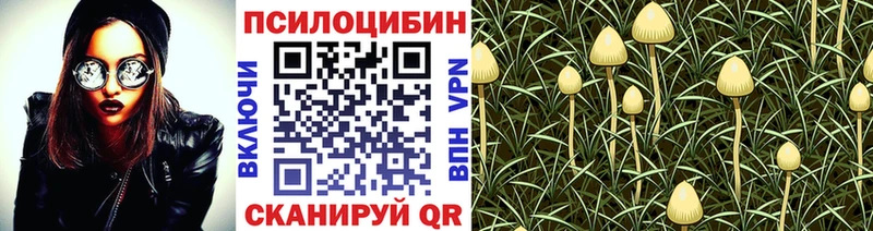 Купить  Мамоново  Псилоцибиновые грибы Magic Shrooms 